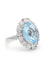 925 Silver Cubic Zirconia & Blue Topaz Ring